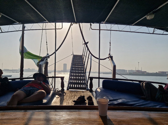 Dolphin Excursions Djibouti-吉布地必去景点