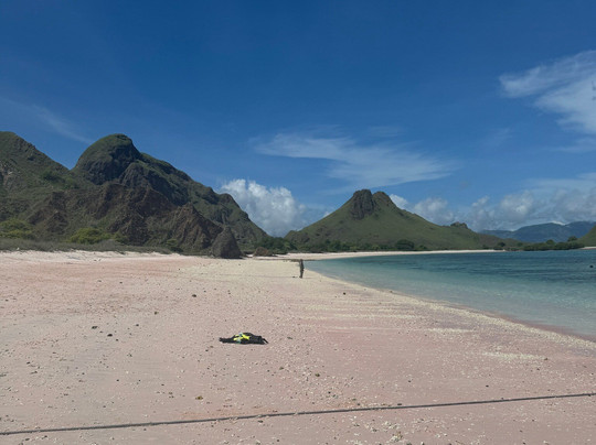 Red Whale Dive Center & Tours-Labuan Bajo必去景点
