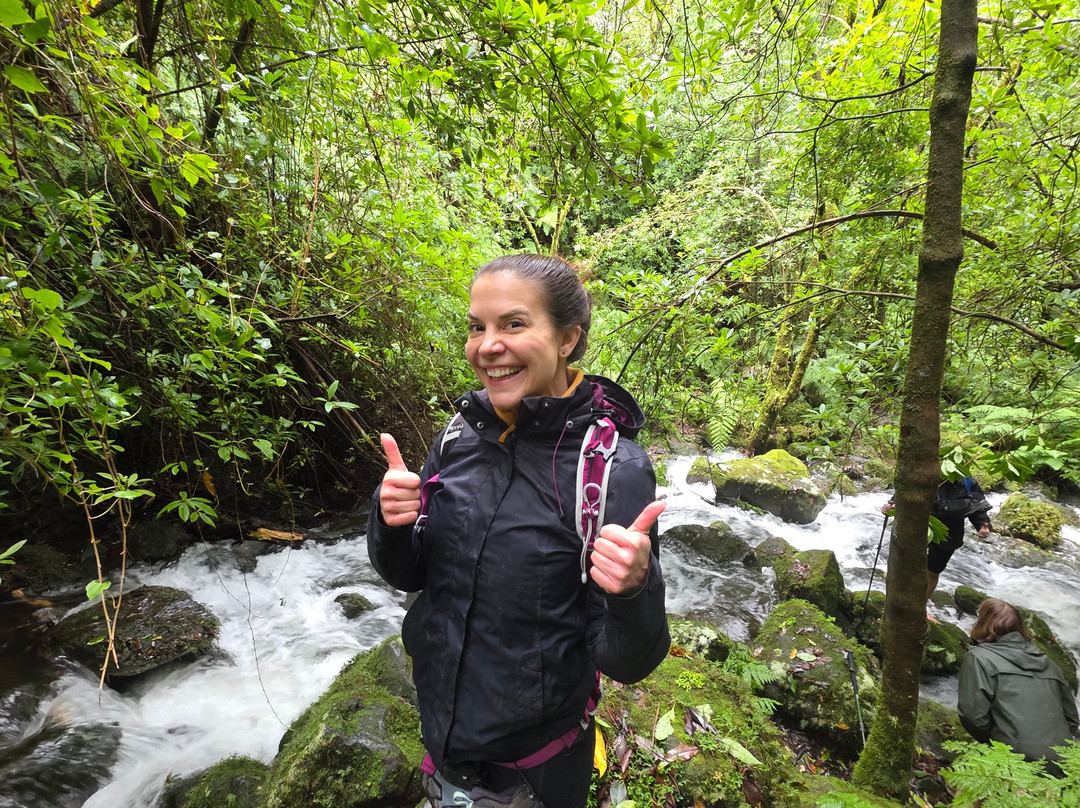 Madeira Wonder Hikes-沙尔必去景点