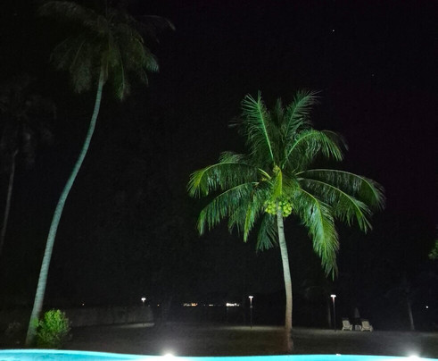 Better View Resort主图