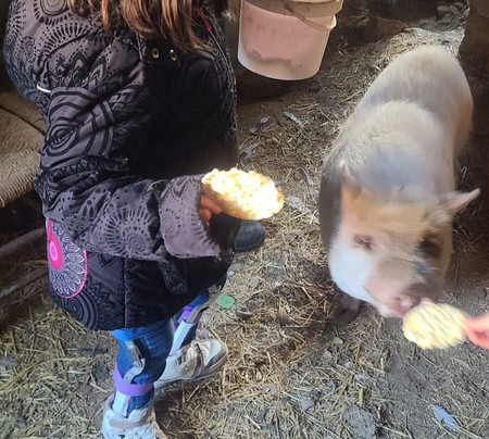 El Castillo de Celia主图