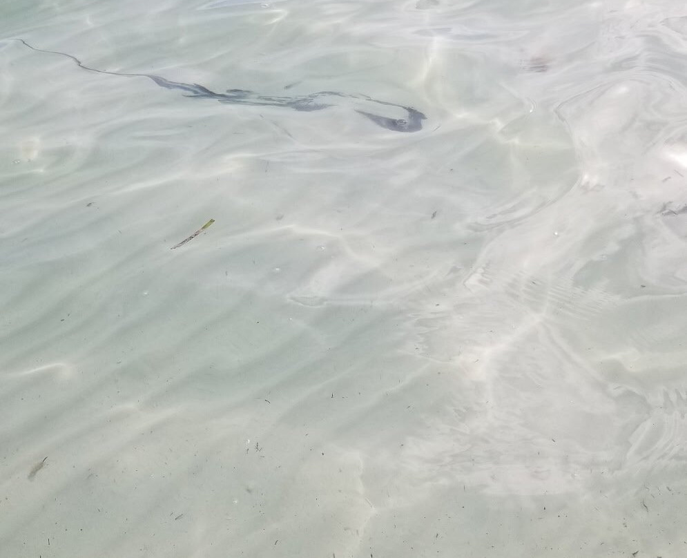 Long Bay Beach-普罗维登西亚莱斯必去景点