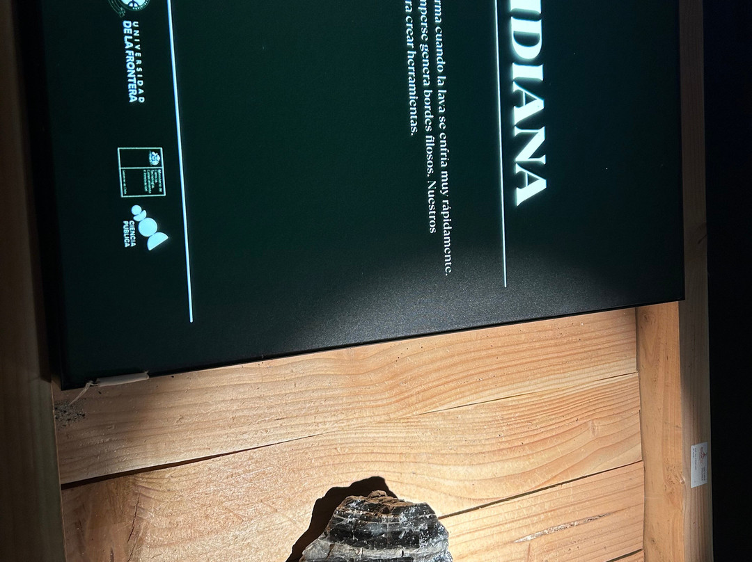 CIVUR 39°: Centro Interactivo Vulcanológico de La Araucanía-普孔必去景点