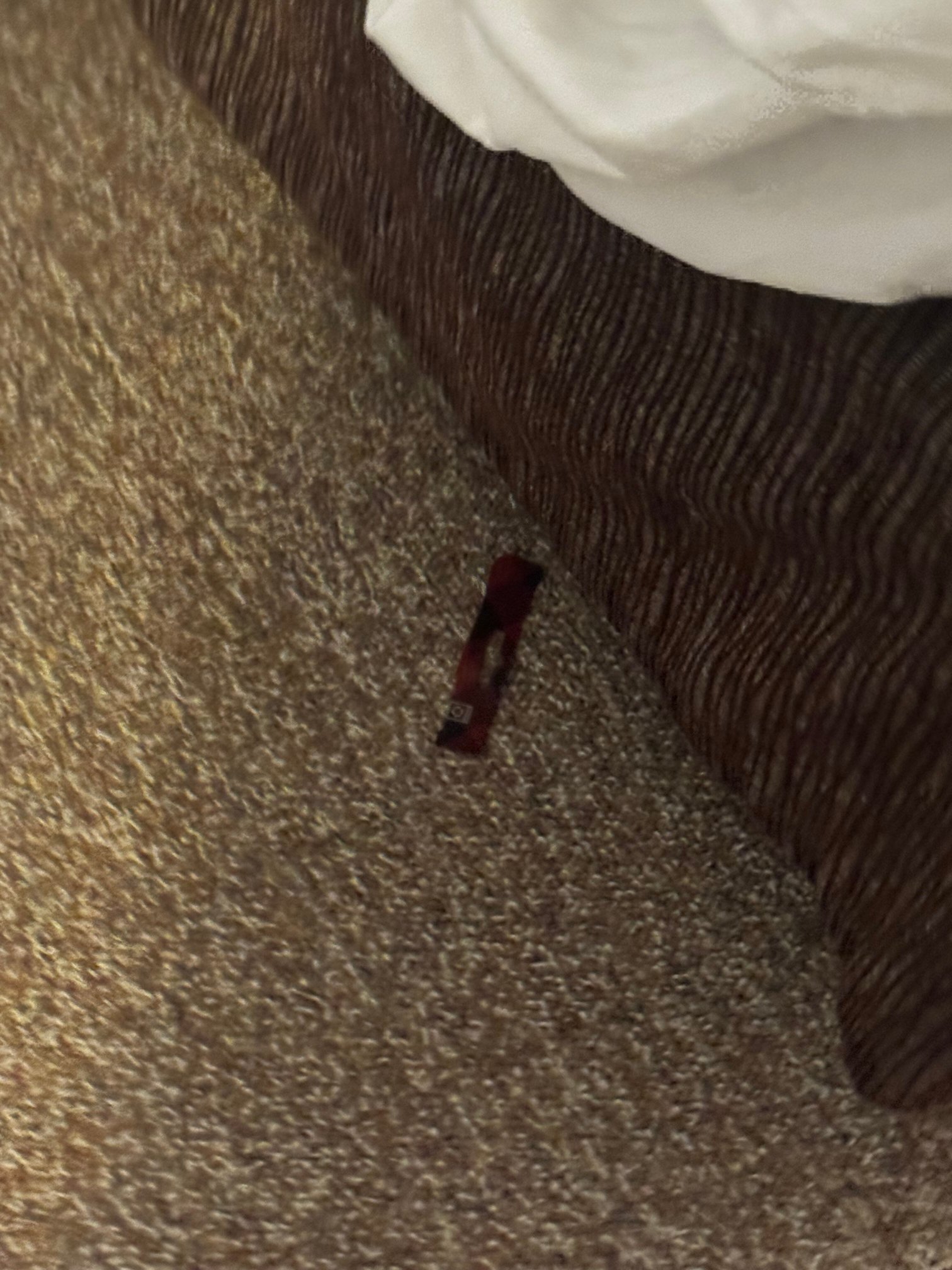 Jay Peak Resort-官方