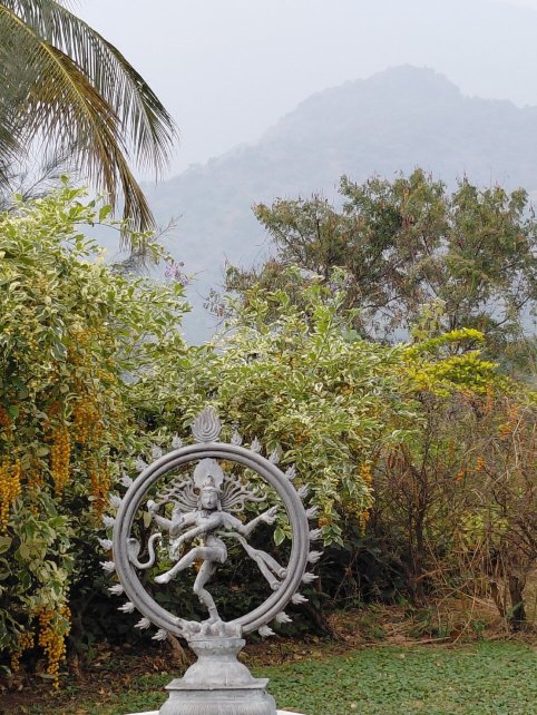 Cardamom House-官方