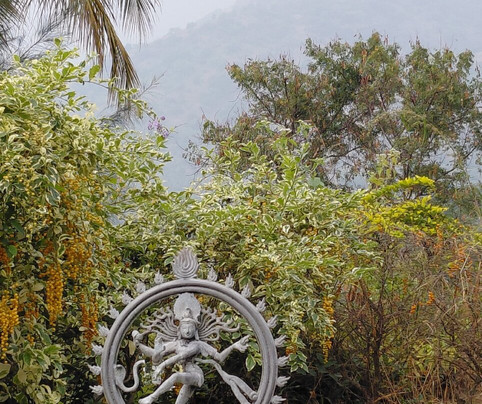 Cardamom House主图