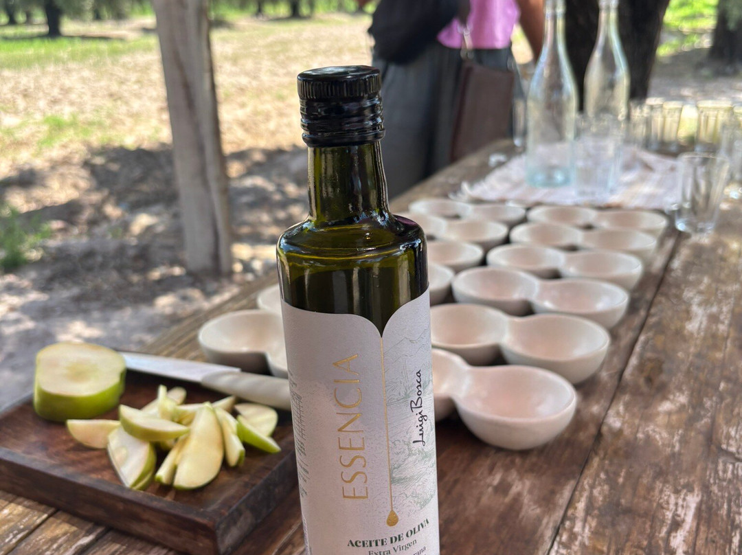 Finca El Paraíso - Bodega Luigi Bosca-Maipu必去景点