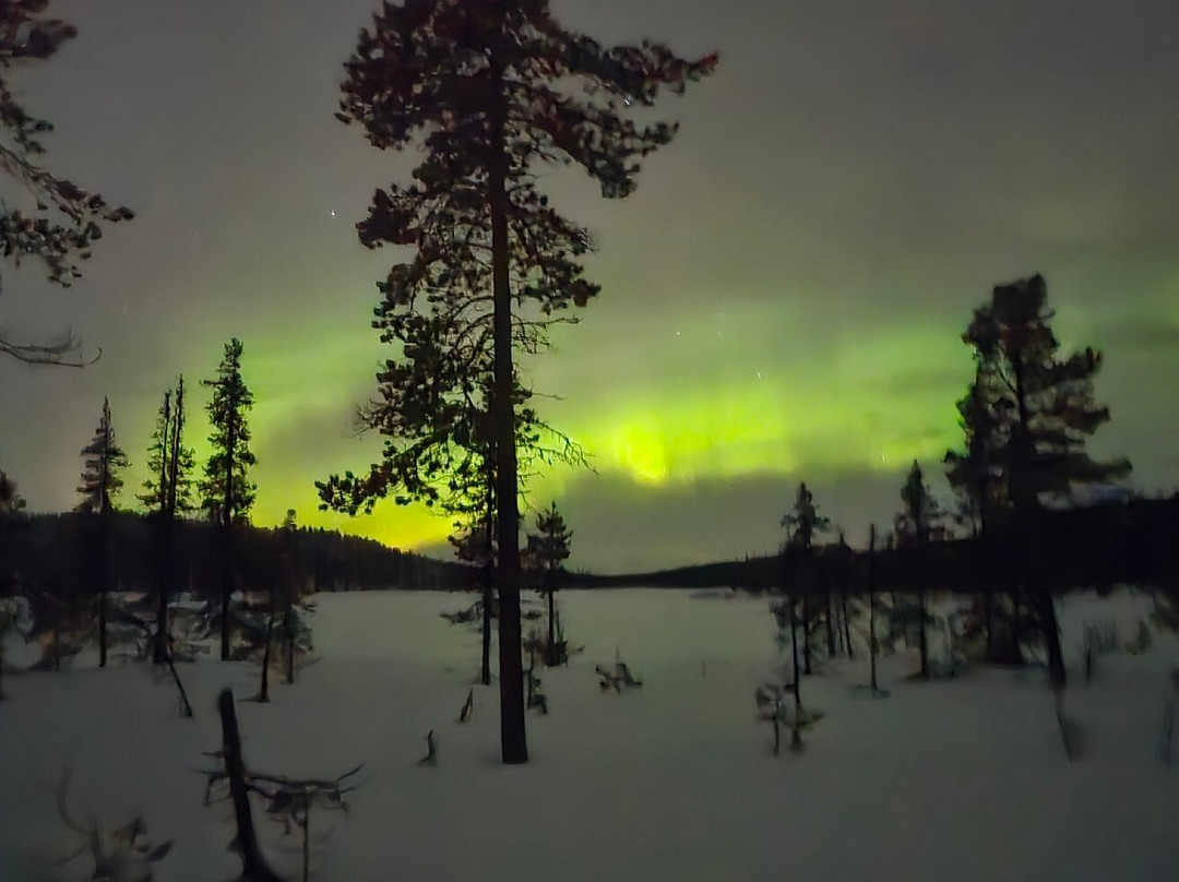 SkySled Tours-Kurravaara必去景点
