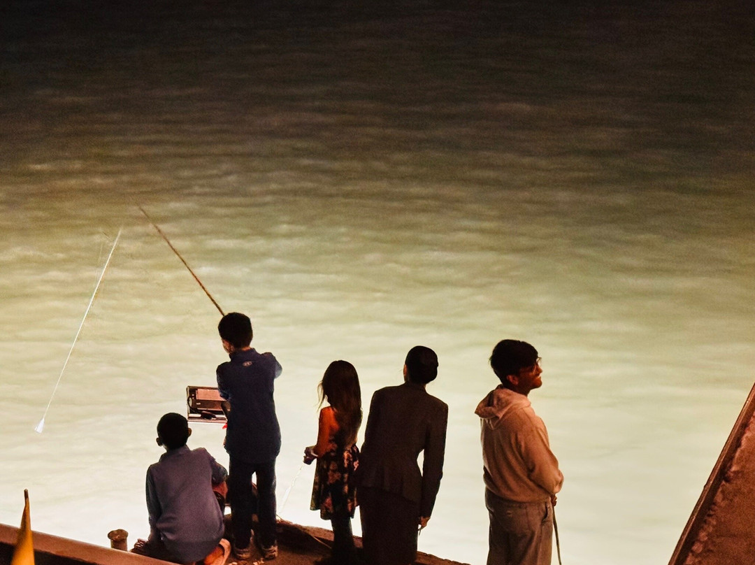 Erina Cruise-下龙湾必去景点