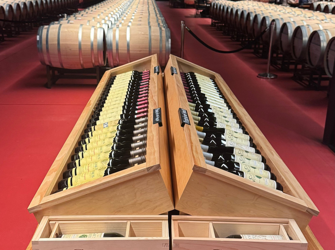 Caymus Vineyards-拉瑟福德必去景点