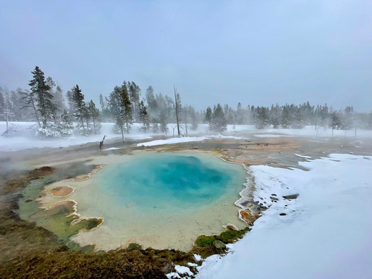 Old Faithful Snowmobile Tours - Day Tours-杰克逊必去景点