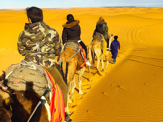 Visit Erg Chebbi Desert-非斯必去景点