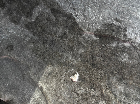 Holiday Inn Express & Suites Milford By IHG主图