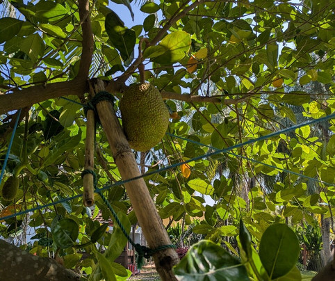 维宏翡翠度假村主图