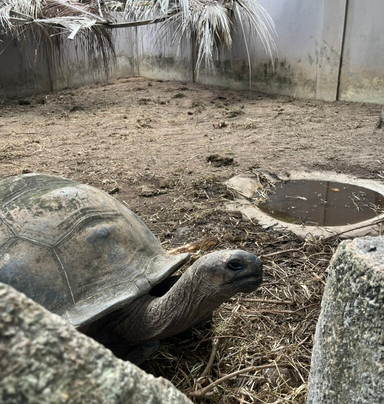 拉默迪斯提宾馆主图