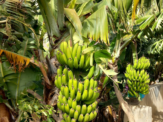 Arlindo Trek-Santo Antao必去景点