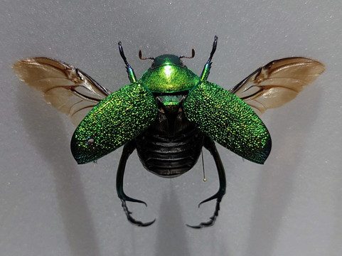 Gasometer Pforzheim-普福尔茨海姆必去景点