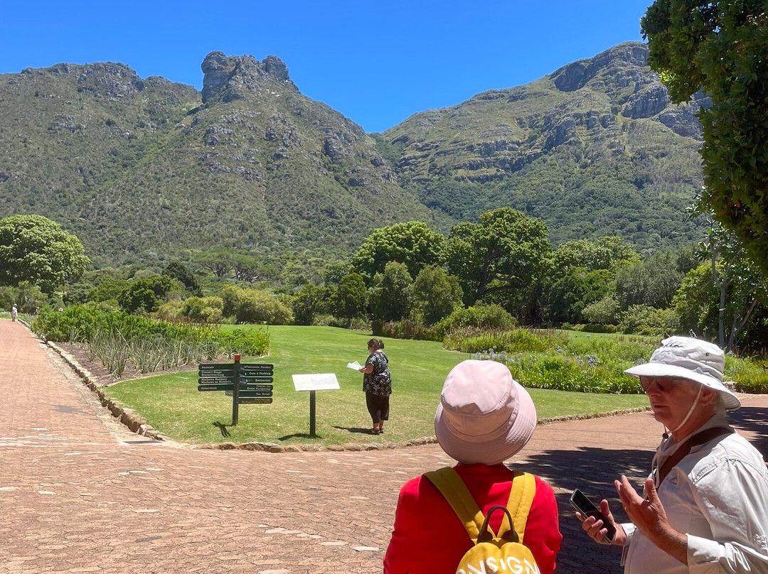 Explore Sideways-开普敦必去景点