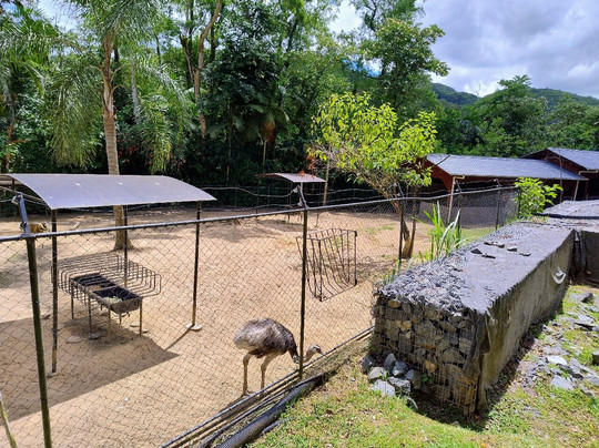 Zoo Pomerode-Pomerode必去景点