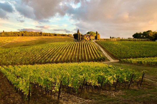 Casa Emma wine tasting-巴尔贝里诺瓦尔德尔萨必去景点