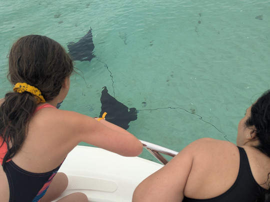 Dadou Excursion-阿尔比恩必去景点