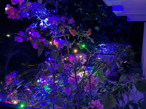 Island Vista Thoddoo