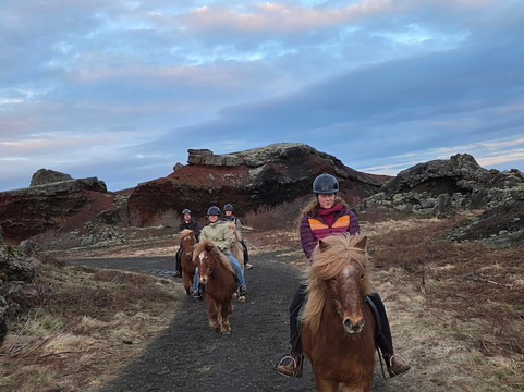 冰岛骑马之旅-雷克雅未克必去景点