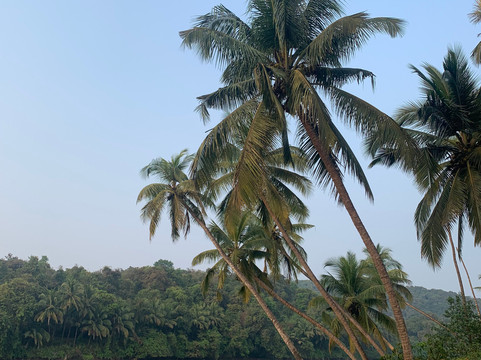 SoulCandy Tours Goa-Colvale必去景点