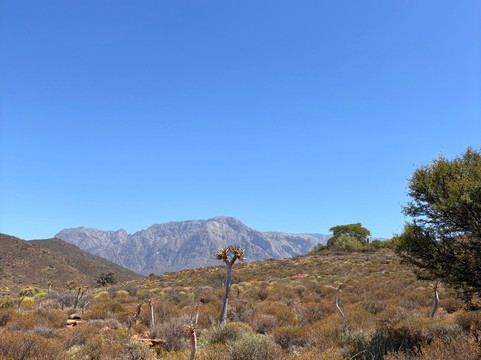 Karoo Desert National Botanical Garden-伍斯特必去景点