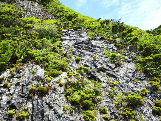 Rocha dos Bordões-Lajes das Flores必去景点