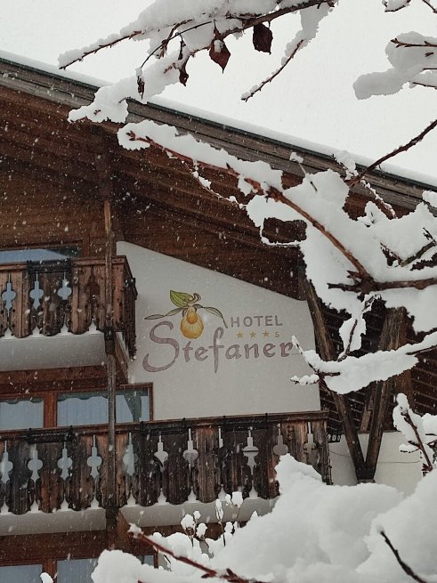 Naturpark Hotel Stefaner-官方