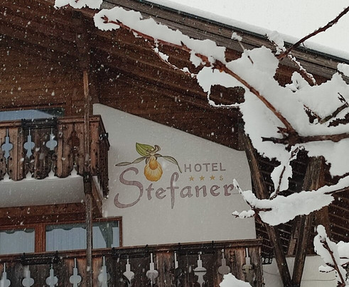 Naturpark Hotel Stefaner主图