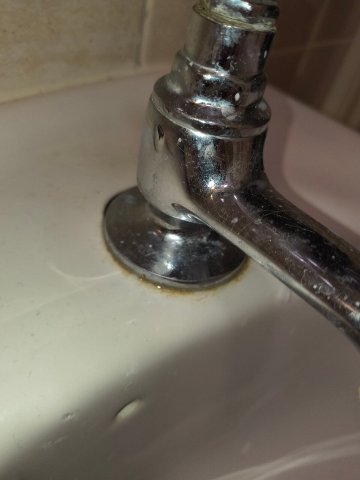 卡林顿豪斯酒店-官方