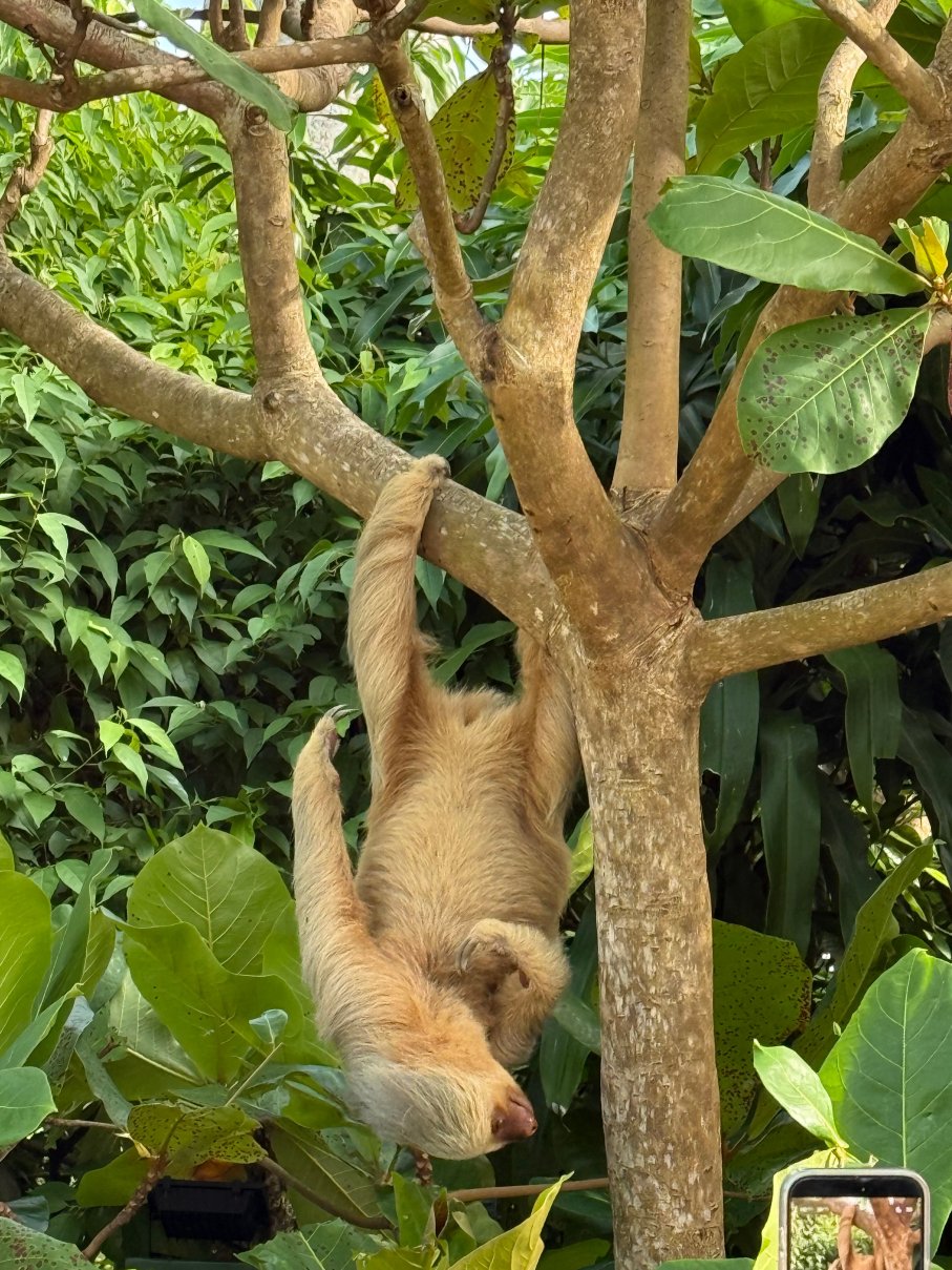 帕拉多自然度假村和温泉-浴室