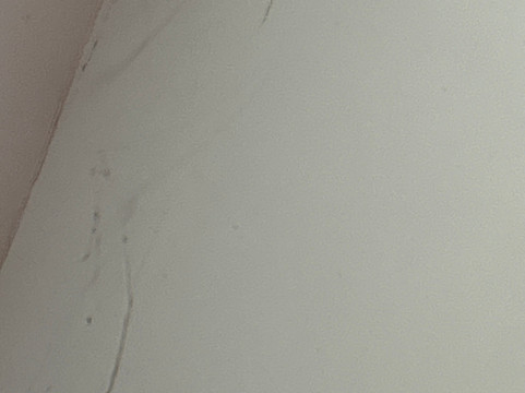 Aldingbourne Country Centre-奇切斯特必去景点