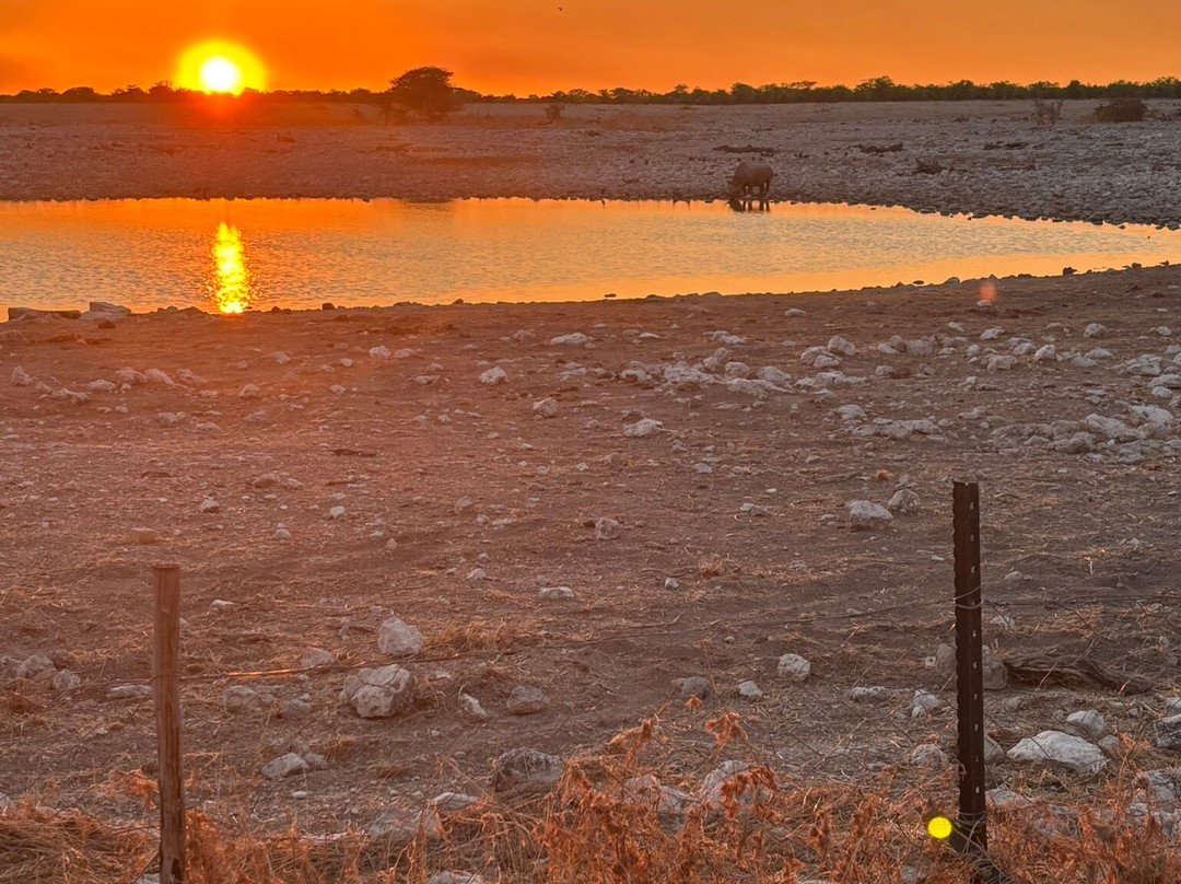 Okaukuejo waterhole-纳米比亚埃托沙国家公园必去景点