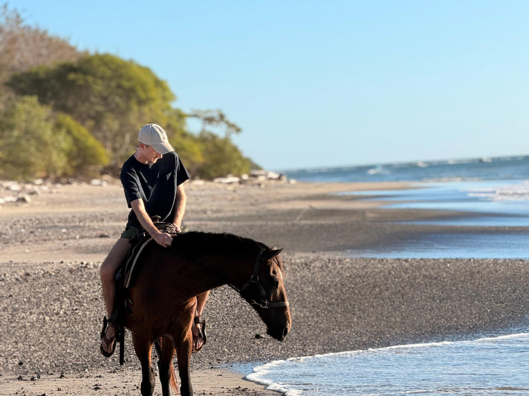 Mirador Equestrian-Playa Avellanas必去景点