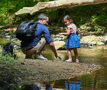 Wolf Trap National Park For The Performing Arts-维也纳必去景点