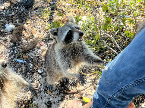 So Flo Water Adventures-North Miami必去景点