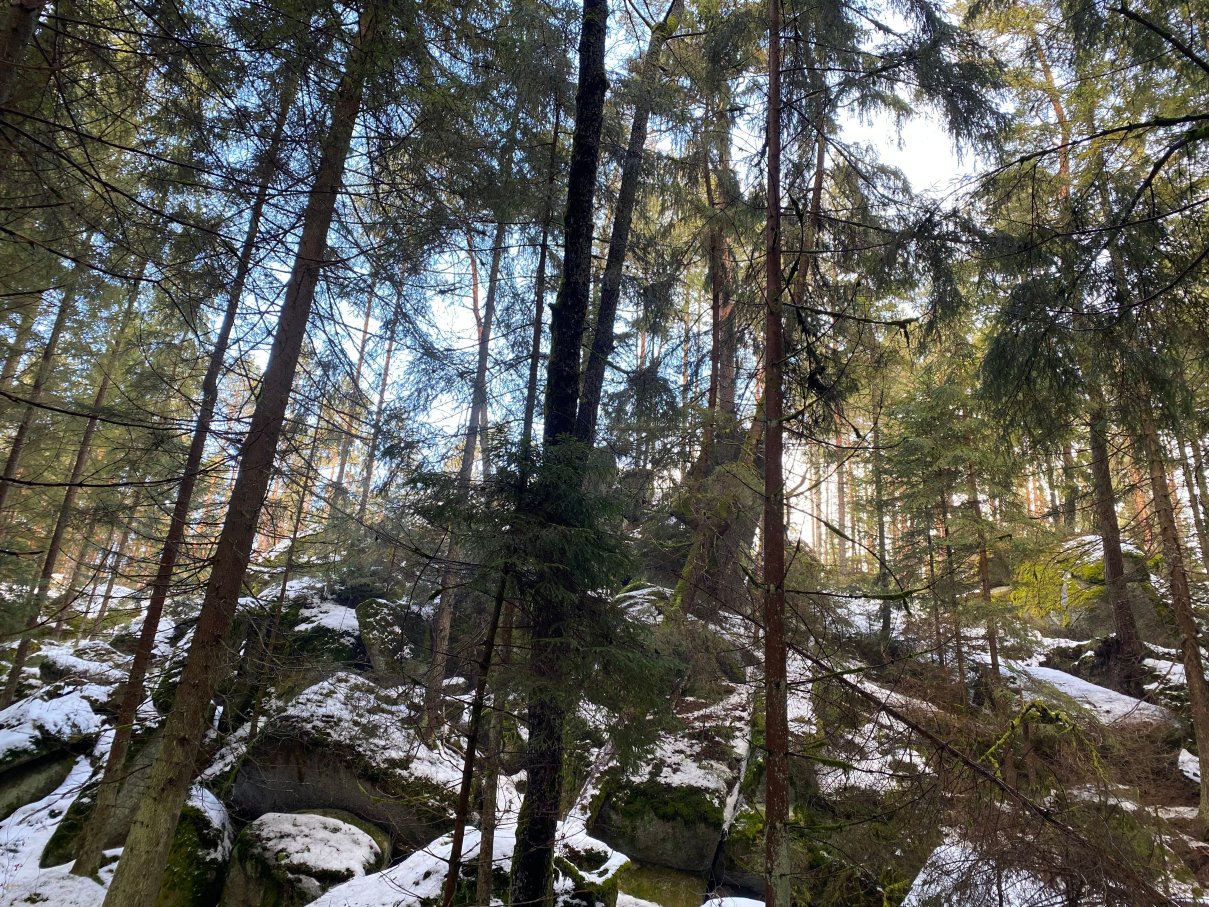 Gesundheitshotel Klosterberg-官方