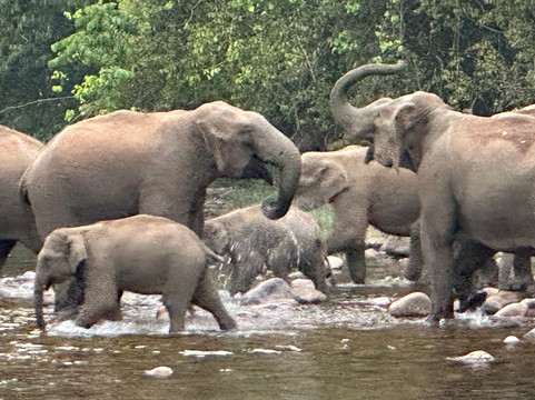 Munnar Info-慕那尔必去景点