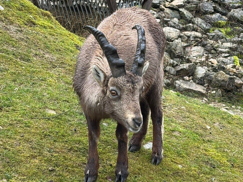 La Garenne-Le Vaud必去景点