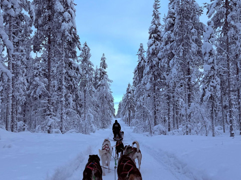 Polar Lights Tours-Sirkka必去景点