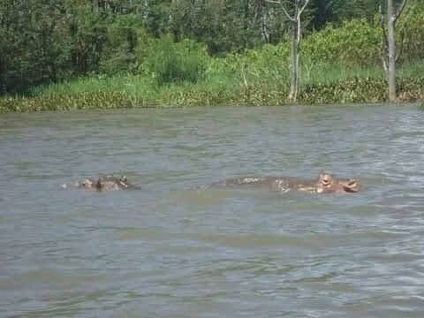 Dunga Bay-基苏木必去景点