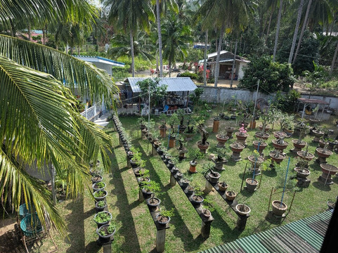 苏梅岛贾科梅里公寓主图