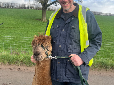 Knightley Alpaca Trekking-斯塔福德必去景点