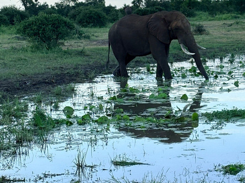 Discover Kruger Safaris-库马堤港必去景点