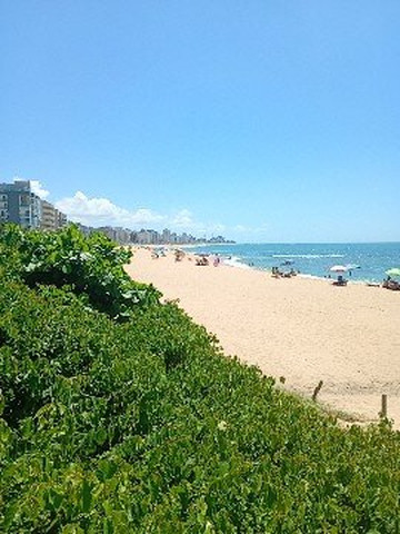 Praia dos Cavaleiros-马卡埃必去景点