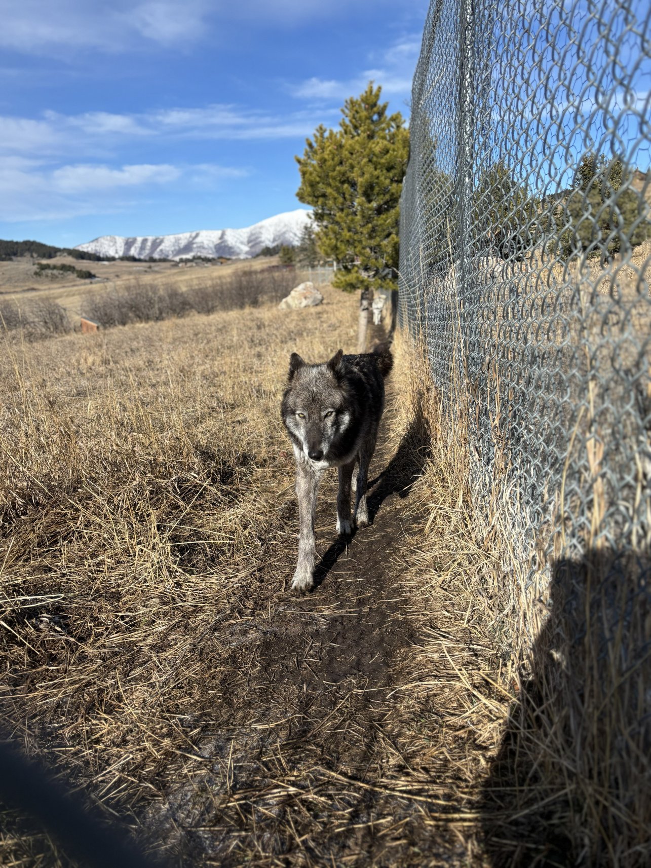 Howlers Inn Bed & Breakfast and Wolf Sanctuary-浴室