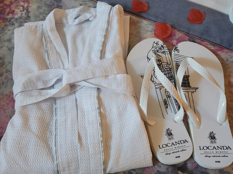 含羞草旅馆主图